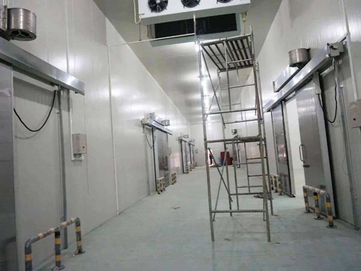 Cold storage room corridor and refrigerated warehouse doors